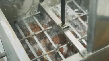 Gıda sanayi. İşlenmiş peynir