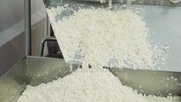 Cottage cheese manufacturing process — Stock Video