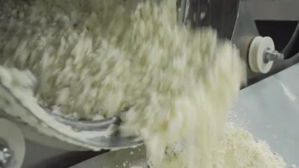 Procesul de fabricare a brânzei de vaci. Produse lactate — Videoclip de stoc