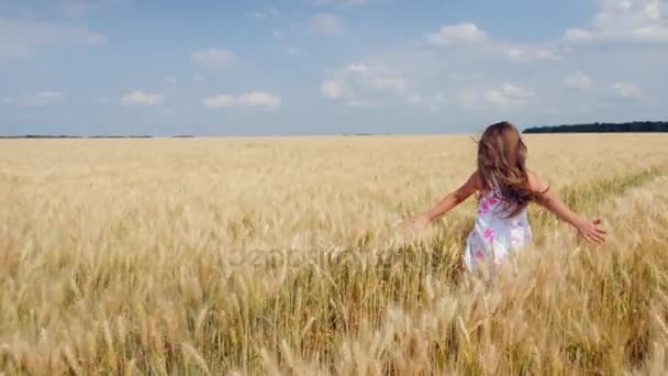 Schoonheid meisje draait op gele tarweveld — Stockvideo