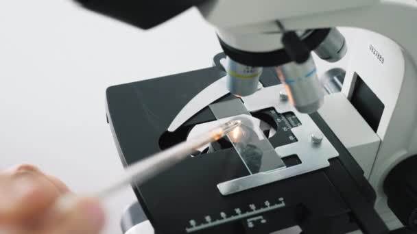 Laboratorium-forskare som arbetar med ett Mikroskop — Stockvideo