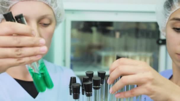 Químicos trabajando juntos en laboratorio — Vídeos de Stock