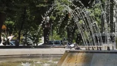 Birds come to drink water from a waterfall