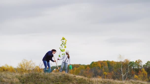 Jeune femme, avec sa fille, planter un arbre — Video