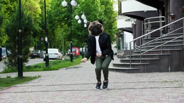 Κιφ animation, αστείος και επιτυχημένος άνθρωπος με pug dog head dancing, motion design — Αρχείο Βίντεο