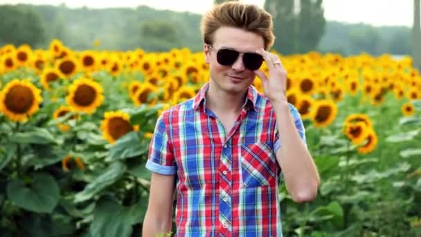 Hűvös és elegáns fiatal férfi farmer leveszi napszemüveg, sikeresen áll, a háttérben mező napraforgó — Stock videók