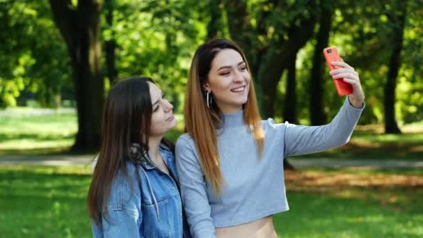 Dos chicas modernas transmite en vivo en las redes sociales, habla a través de videollamadas en un teléfono móvil, blogger y comunicación — Vídeos de Stock