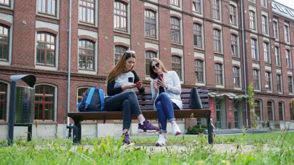 Σύγχρονες φοιτήτριες χρησιμοποιούν κινητό τηλέφωνο, κάθονται σε παγκάκι στο πάρκο της πανεπιστημιούπολης πριν τα μαθήματα. Πανεπιστημιακή έννοια — Αρχείο Βίντεο
