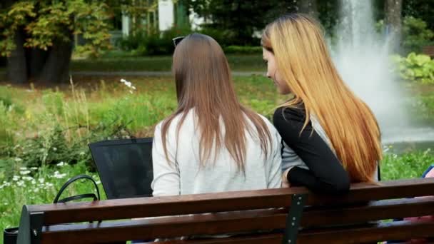 Moderne vrouwelijke studenten werken samen op een laptop op een studentenproject terwijl ze op een bankje in het park zitten, van achteren gezien — Stockvideo