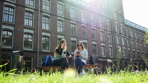 Mujeres femeninas modernas charlando mientras están sentadas en el banco en el parque del campus. Amigos de la universidad — Vídeos de Stock