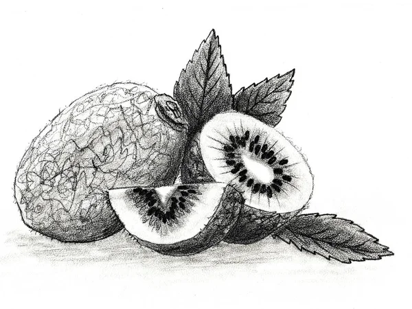 果物 - キウイ。手描きの鉛筆. — ストック写真