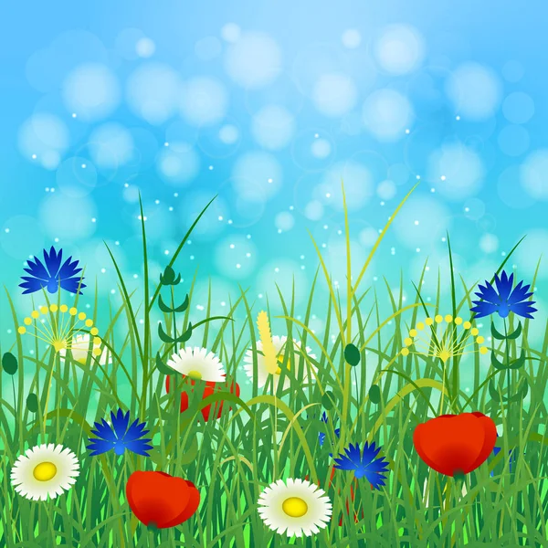 Concept Summer. Ciel, flou, herbes et fleurs des champs — Image vectorielle