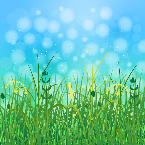 Concept Summer. Ciel, flou, herbe des champs — Image vectorielle