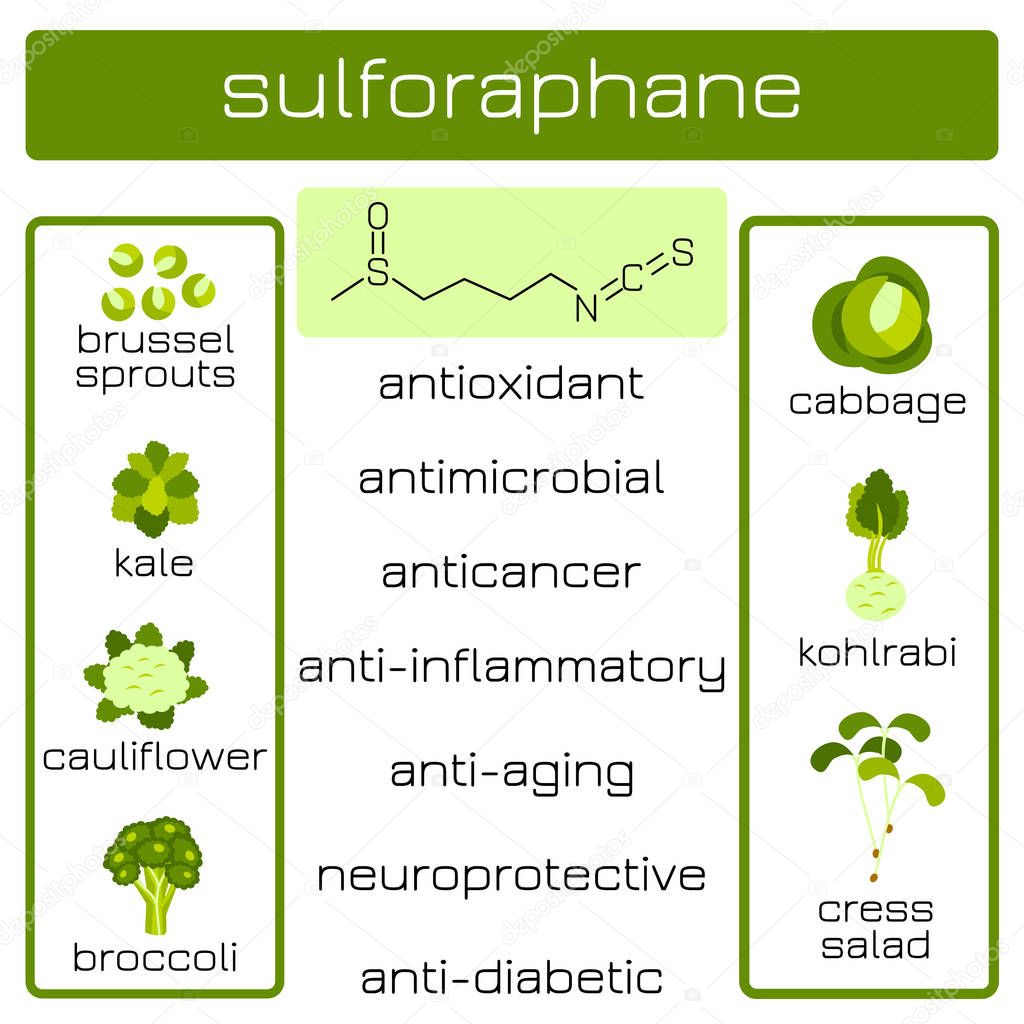 Infographics. Sulforaphane organic compound