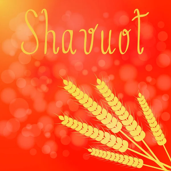 Shavuot. Concepto de vacaciones judaicas. Orejas de trigo — Vector de stock