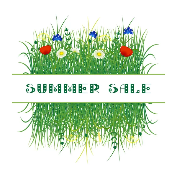 Summer. Wild grass and flowers. Place for text — Stock Vector