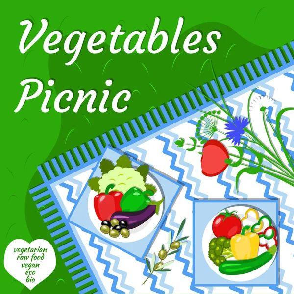 Sebze piknik parti açık havada yaz.