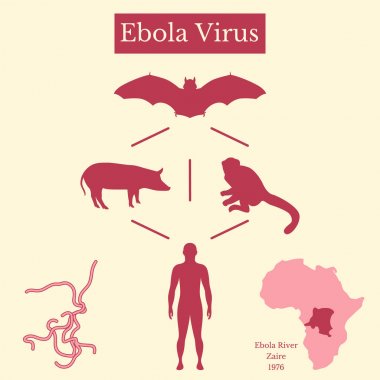 Ebola virüsü. Hastalık Infographics kaynağı