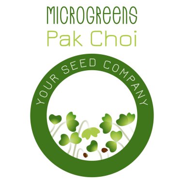 Mikro yeşil Park Choi. Tohum paketleme tasarımı, merkezde yuvarlak element