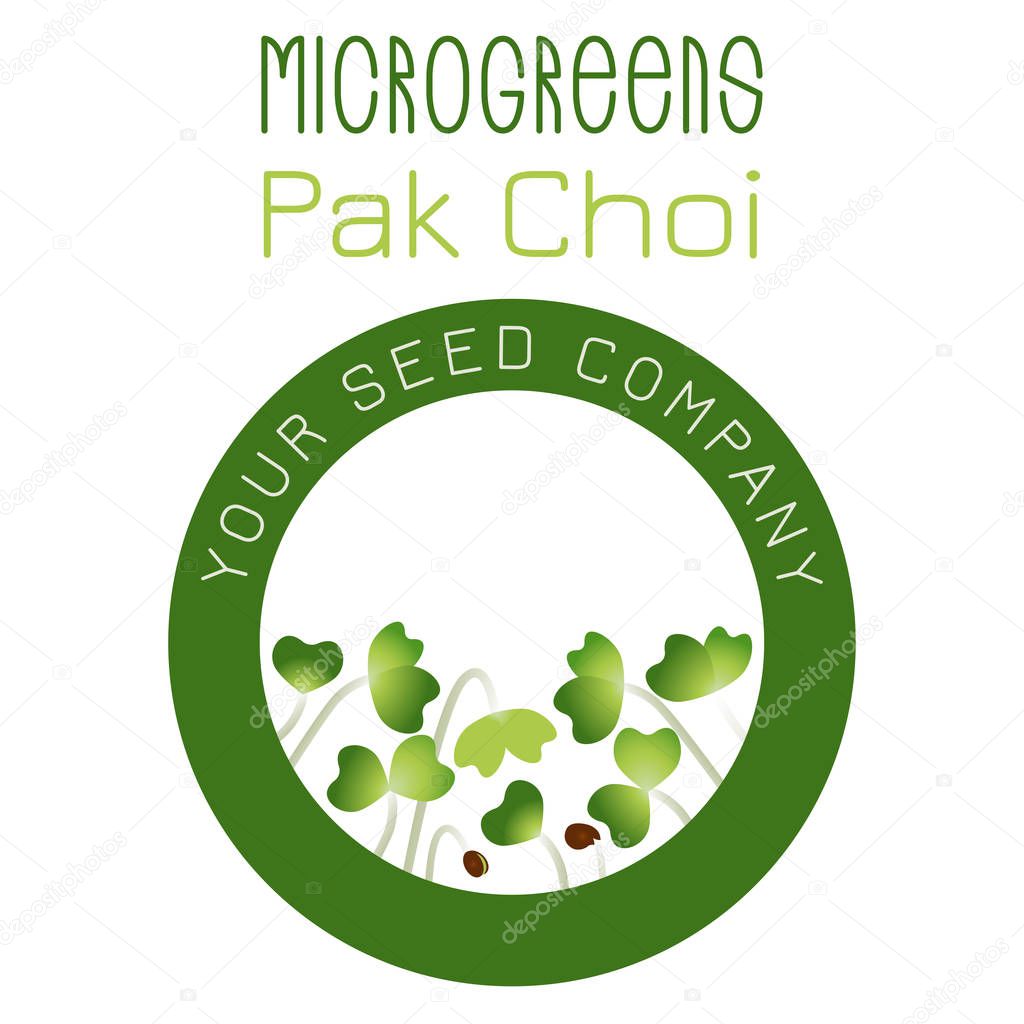 Microgreens Pak Choi. Seed packaging design, round element in the center