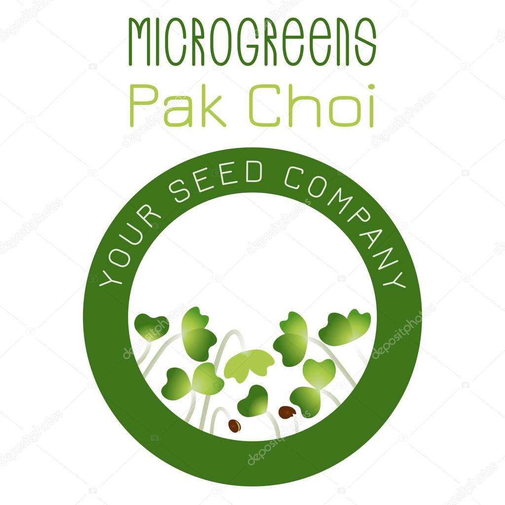 Microgreens Pak Choi. Seed packaging design, round element in the center. Vitamin supplement, vegan food. Vector illustration, simple style with gradient.