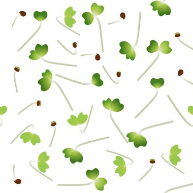 Mikro yeşil Park Choi. Bir bitkinin tohumu. Kusursuz desen. Vitamin takviyesi, vejetaryen yemekleri..