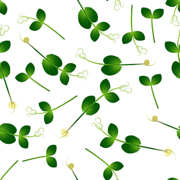 Microgreens Pea. Las semillas que brotan de la planta. Patrón sin costuras. Suplemento vitamínico, comida vegana . — Archivo Imágenes Vectoriales