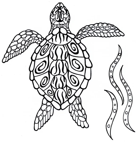 Sea turtle. Spirit Animal. Black and white illustration. Silhouette with patterns.