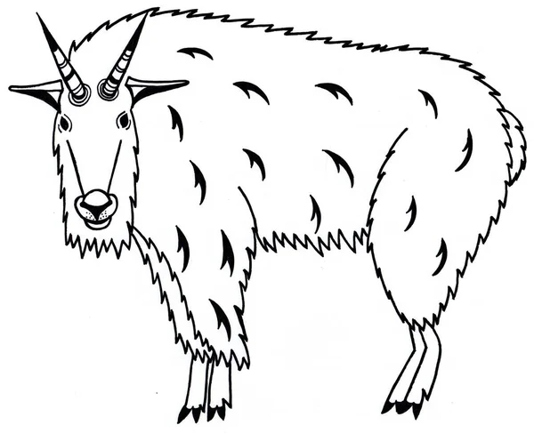 Cabra de montaña. Oreamnos americanus. Animal Espíritu. Ilustración en blanco y negro. Silueta con patrones . —  Fotos de Stock