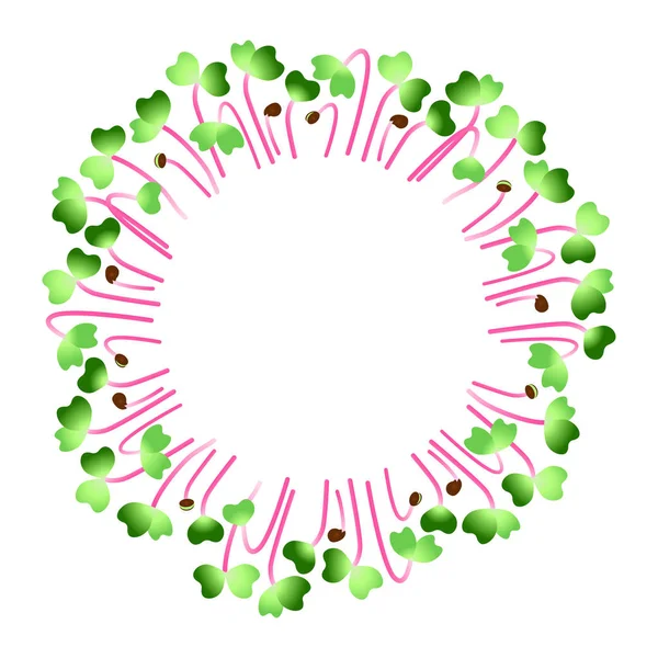 Microgreens Hong Vit Radish. Arranged in a circle. White background — 스톡 벡터