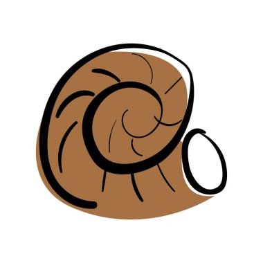 Deniz kabuğu. Vektör karalama çizimi. Beyazda izole edilmiş.