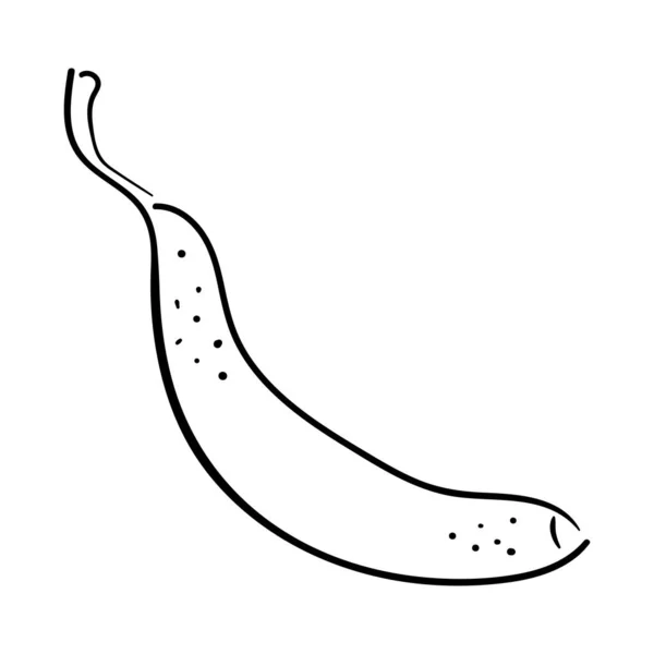 Plátano de frutas. Ilustración lineal de garabatos vectoriales. Aislado sobre blanco. Elementos de diseño . — Archivo Imágenes Vectoriales