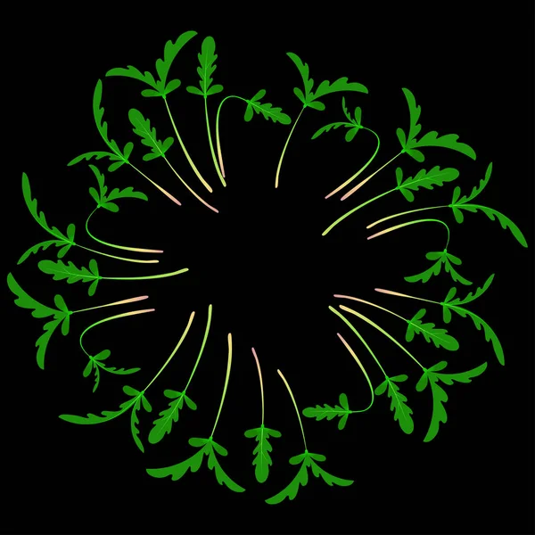 Μικροπράσινα Σουνγκίκου. Τακτοποιήθηκε σε κύκλο. Λευκό φόντο. Μαύρο φόντο — Διανυσματικό Αρχείο