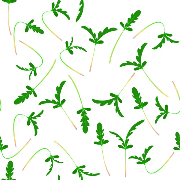 Microgreens Shungiku. Graines germant d'une plante. Modèle sans couture. Supplément vitaminique, nourriture végétalienne . — Image vectorielle
