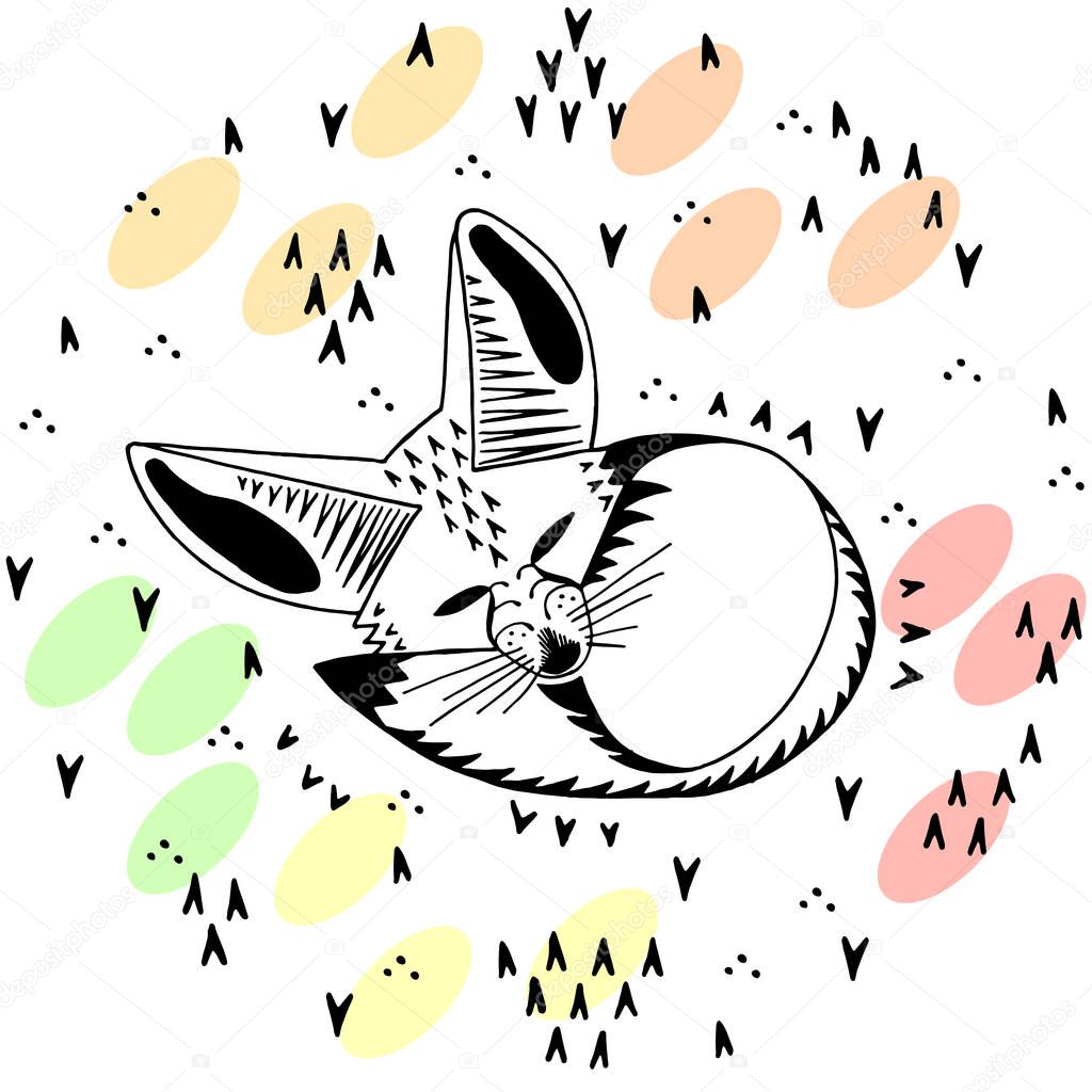 Fennec fox. Linear illustration. Cute kids cartoon style.