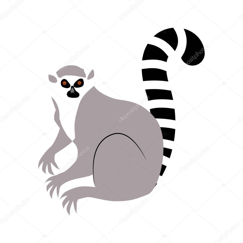 Lemur. Vector illustration of an animal. Flat style. Isolated on white