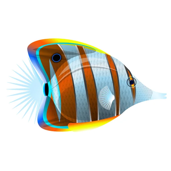Риба Метелик Яскрава Тропічна Риба Ізольовані Білому Підводний Світ — стоковий вектор