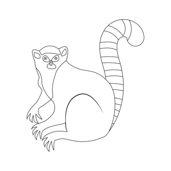 レミュア 概要図 ぬり絵 動物のベクトルイラスト フラットスタイル 白に隔離された — ストックベクタ
