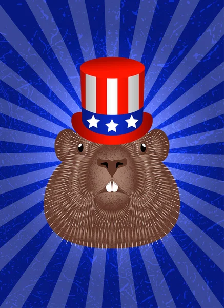 Groundhog Dag. Onderwerp Nationale feestdag in USA. Groundhog Head in Top Hat. Symbolische vlag van de VS - rode strepen, witte sterren op blauwe achtergrond. Blauwe achtergrond met middelste stralen, grunge textuur. — Stockvector