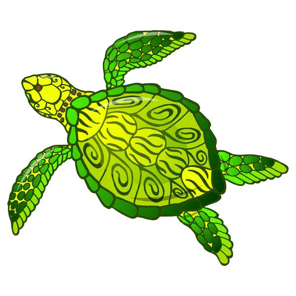 Морская Черепаха Яркая Тропическая Подводная Фауна Изолирован Белом Подводный Мир — стоковый вектор