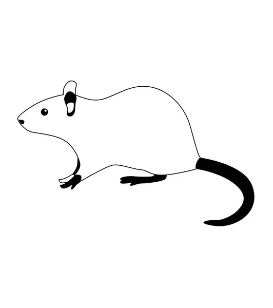 Крыса Мышь Линейная Векторная Иллюстрация Черное Белое Изолированные Белом — стоковый вектор