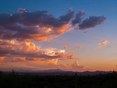 Bulutlar ve günbatımı veya gündoğumu siluet kaktüs ile