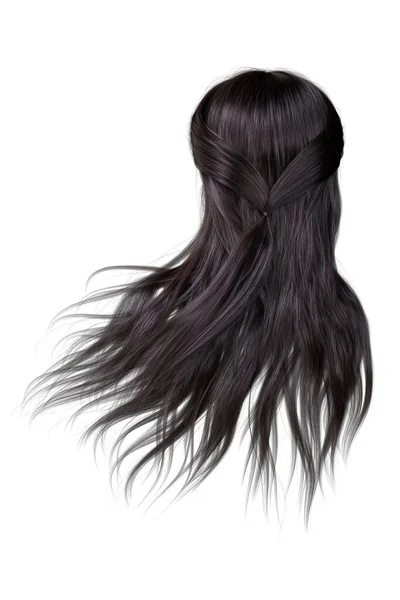 Render Illustration Fantasy Dark Brown Hair Back View Isolated White — Stock Photo, Image