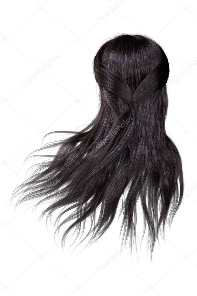 3d render, 3d illustration, fantasy dark brown hair back view on isolated white background
