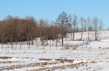 Ağaçlı kış manzarası. Köyde kış. Karla kaplı ekilebilir arazi. Kış güneşli gün.