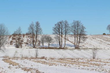 Köyde kış. Karla kaplı ekilebilir arazi. Kış güneşli gün.