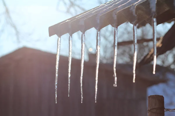 Icicles Hanging Roof Melting Snow Spring — 스톡 사진