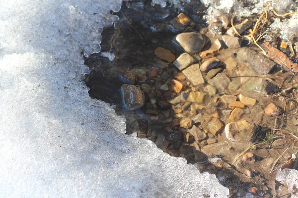 Melting Snow Spring Puddle — 스톡 사진