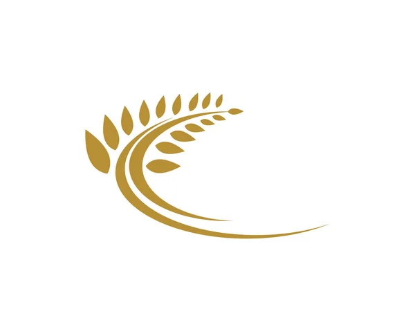 Логотип рису та вівса — стоковий вектор