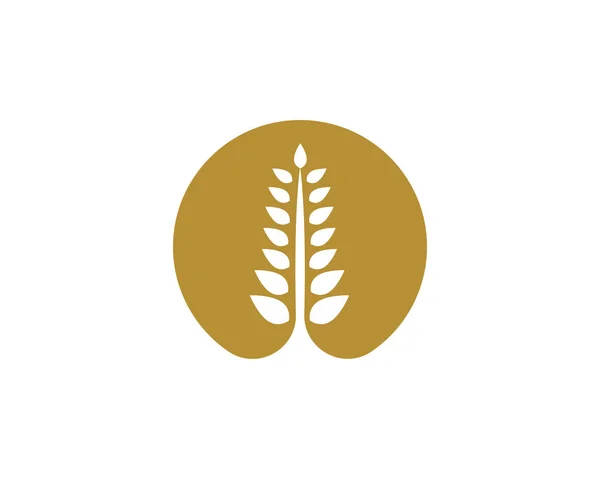 Логотип и логотип риса и овса — стоковый вектор